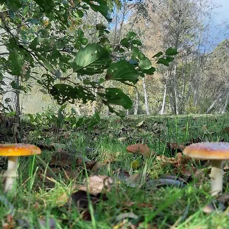 Zonnige Vrijstaande In Prachtige Omgeving!